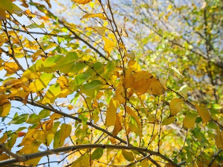 Астраханцам обещают 27 сентября до +18 ℃ и без осадков
