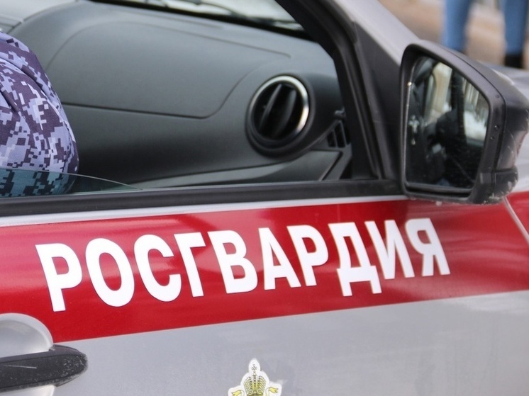 Жители Архангельской области добровольно сдали 72 ружья