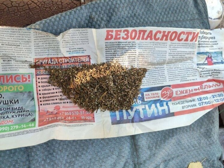 У жителя запорожского Токмака изъяли коноплю