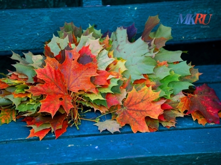 Калужан ждёт прохладный и облачный осенний день