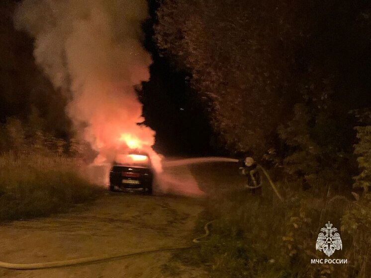 Вспыхнувший в Алексине автомобиль тушили семь огнеборцев
