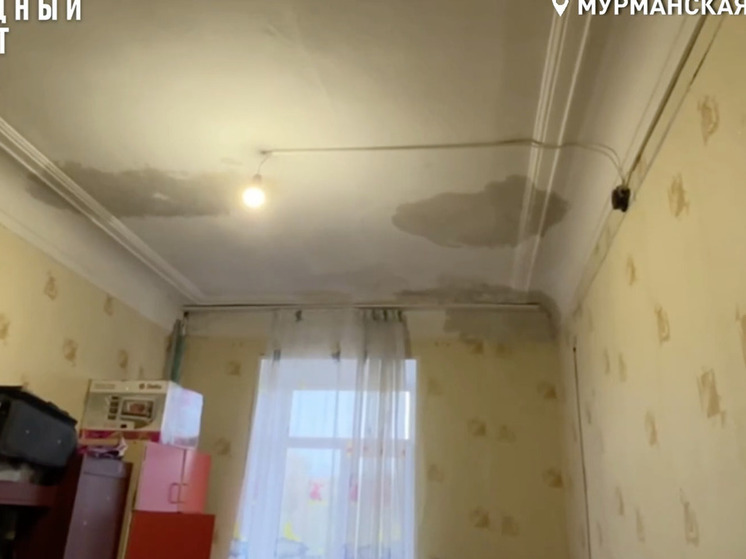 Жители Сафоново поделились секретами выживания под целлофановой крышей