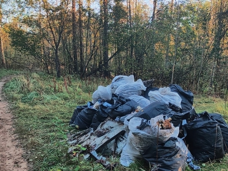 В Ленобласти стартовали осенние экологические уборки на ООПТ