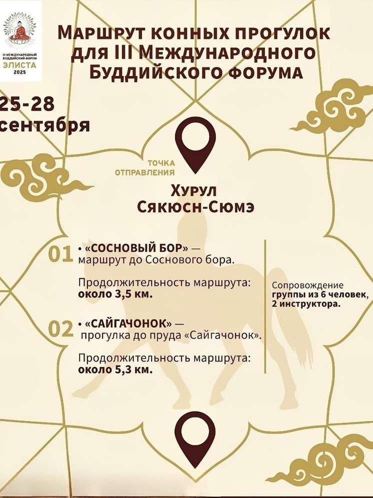 Жителей Калмыкии приглашают на конные прогулки