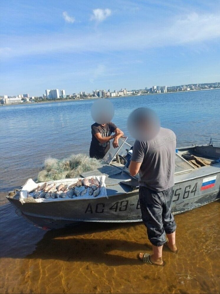 В Саратовской области ловили рыбаков-браконьеров