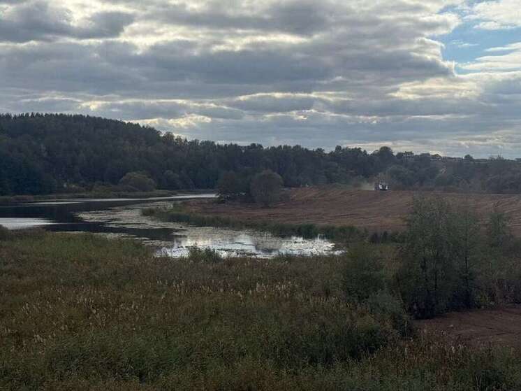 Экологи обратились в полицию из-за разрушения береговой зоны озера в Воронеже