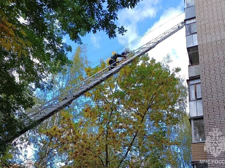 Два человека пострадали при пожаре в многоквартирном доме в Иванове