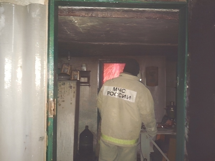 В Репьевском районе Воронежской области при пожаре погиб пожилой мужчина