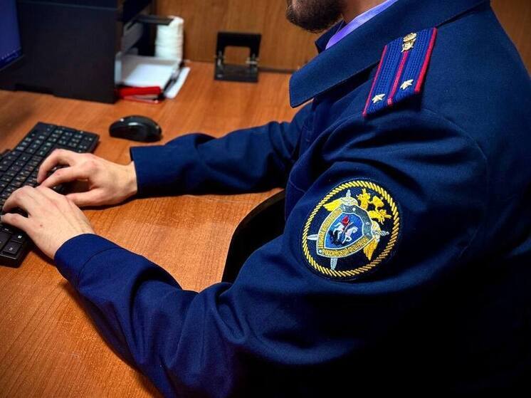 Житель Магаса провернул аферу, чтобы купить земельный участок по заниженной цене