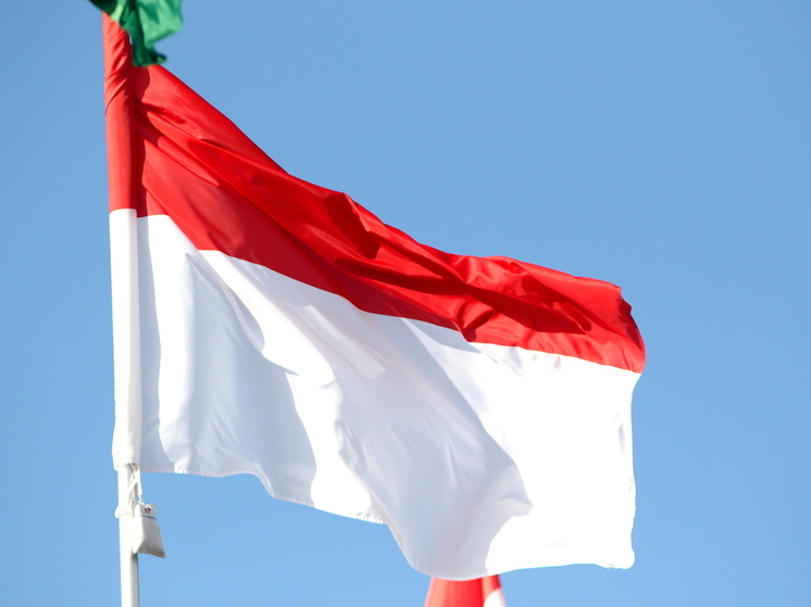 Власти Индонезии заявили о готовности отправить миротворцев на Украину или Газу