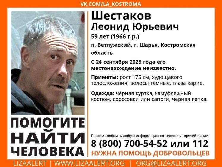 Мужчина в камуфляжном костюме пропал в Костромской области