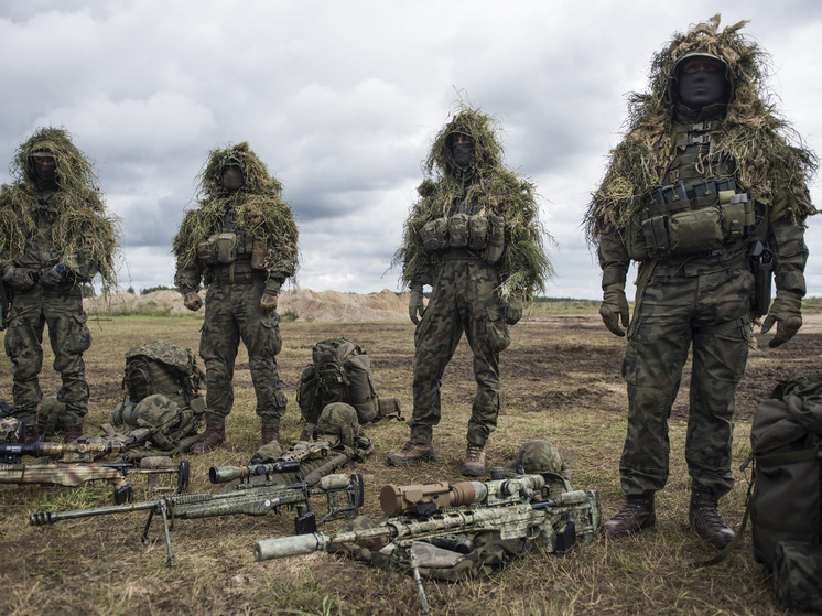 NDR: Бундесвер завершил самые масштабные учения в Гамбурге со времен холодной войны