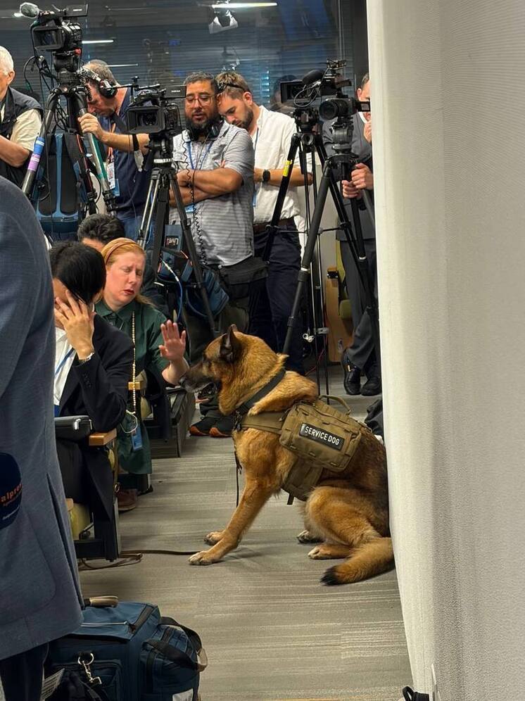 Захарова: охрану пресс-конференции Лаврова в ООН поручили немецкой овчарке