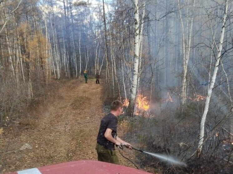 Два лесных пожара действуют в Забайкалье