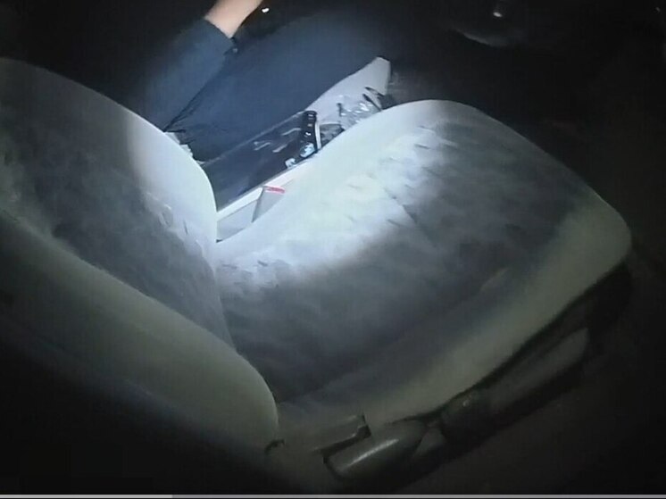 Хакасские автоинспекторы остановили иномарку с водителем-призраком