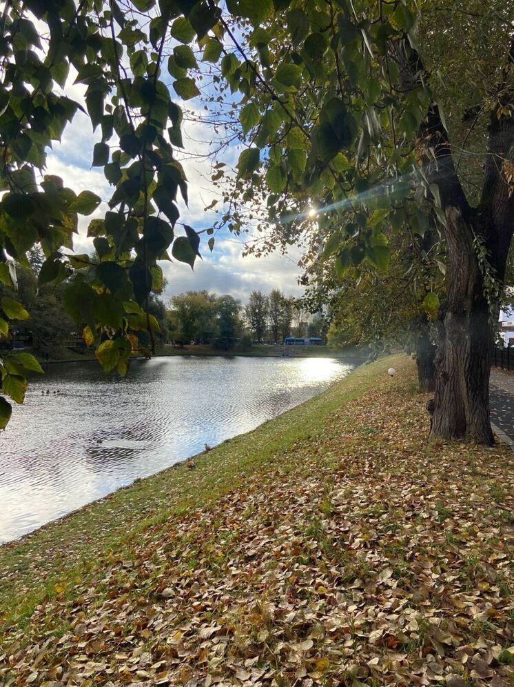 Синоптик Сафонов: на следующей неделе в Москве и области вероятны заморозки
