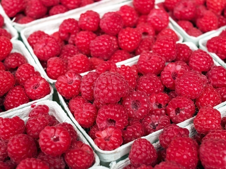 При перевозе малины из Китая в Приамурье нашли зараженную партию