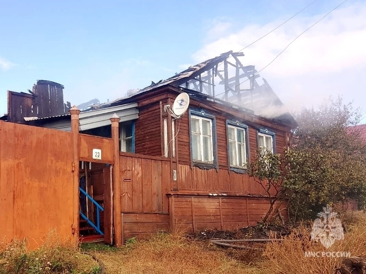 Огнеборцы в Петровске тушили кровлю дома