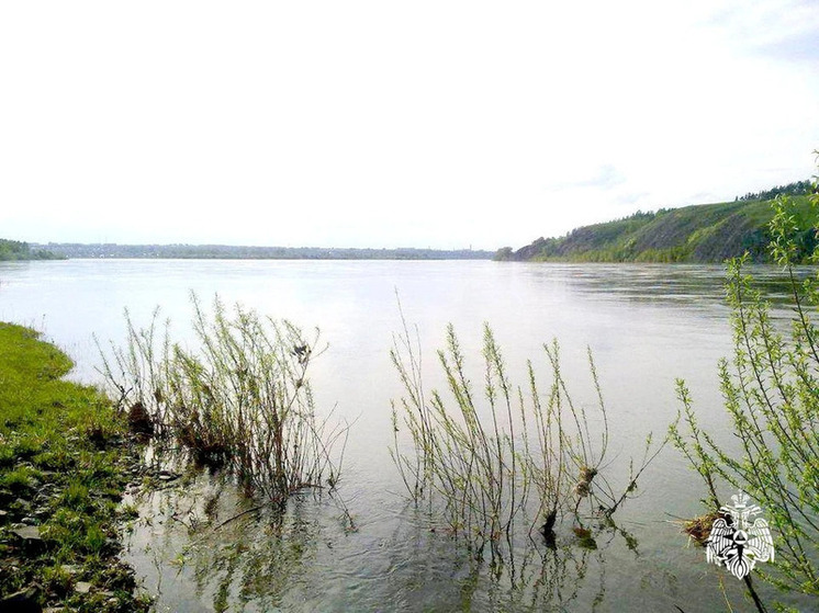 Смерть на Томи: тело мужчины обнаружили в окрестностях деревни Чернильщиково