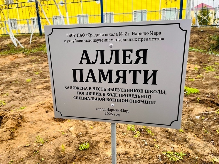 Аллея памяти героев СВО заложена на территории школы №2 г. Нарьян-Мара