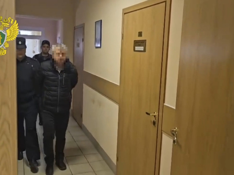 Алко-отравителя из деревни Гостицы заключили под стражу на два месяца