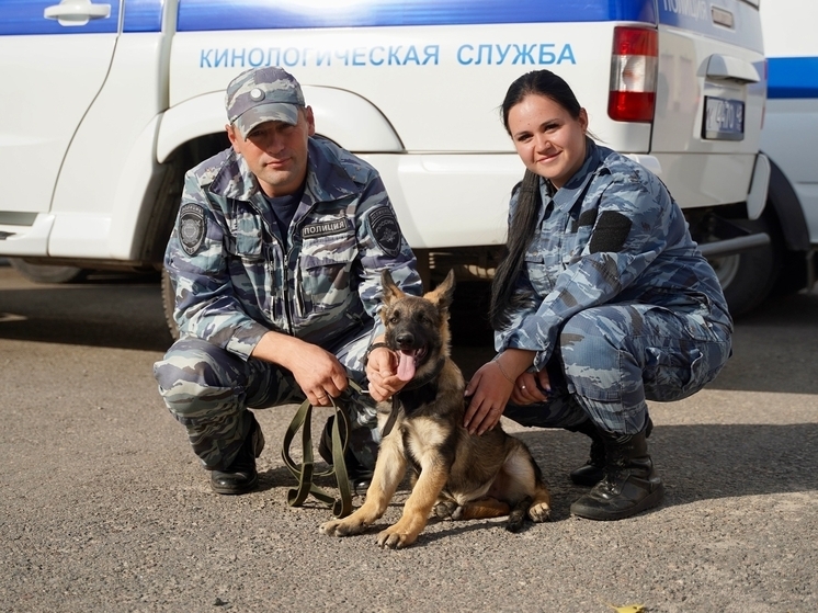 В кинологическом центре УМВД Липецкой области выбирают имя для щенка