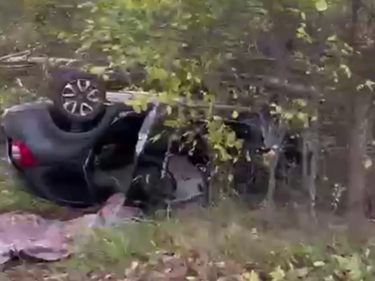В Мошенском округе ночная поездка закончилась гибелью водителя «Лады Гранты»
