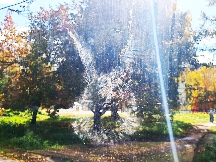 Голубь врезался в новую остановку в Екатеринбурге, оставив на стекле отпечаток тела