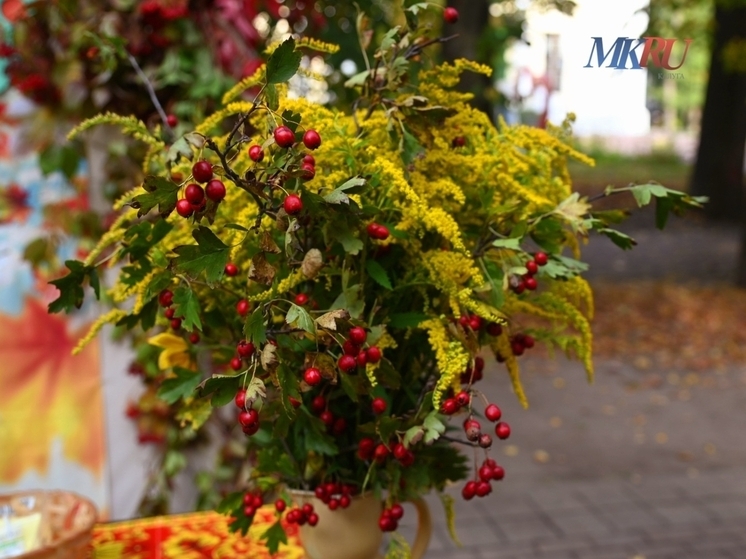 Калужанам обещают сухое начало недели