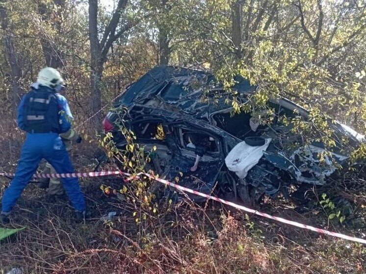 Пассажирка погибла в перевернувшейся иномарке под Самарой 28 сентября