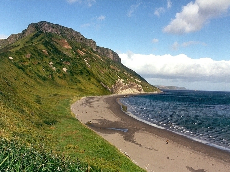 Baijiahao: маневры российских подводных лодок в АТР лишили Японию дара речи