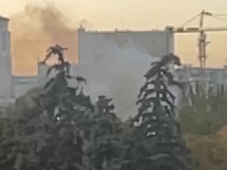 Крупный пожар в парке Горького в Ростове разгорелся возле главной аллеи