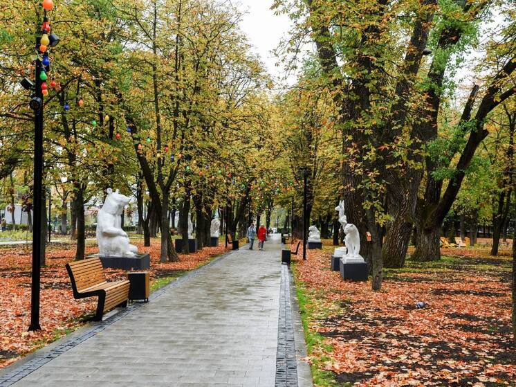Куряне сломали кормушки для птиц и пытались выкопать цветы в обновлённом парке Пионеров