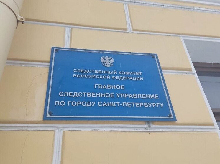Бастрыкин потребовал доклад по делу о жестоком убийстве в Ленобласти