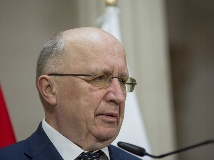 Еврокомиссар по обороне не смог объяснить, как будет работать система "Стена дронов"