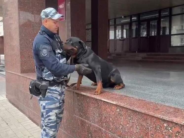 Курским полицейским помогает ротвейлер Ральф
