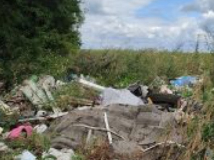 В Курской области выявлена свалка твердых бытовых отходов на сельхозземлях