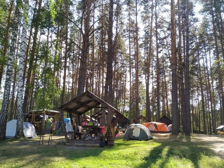 Предпочли родной край: более половины омичей отдохнули в области