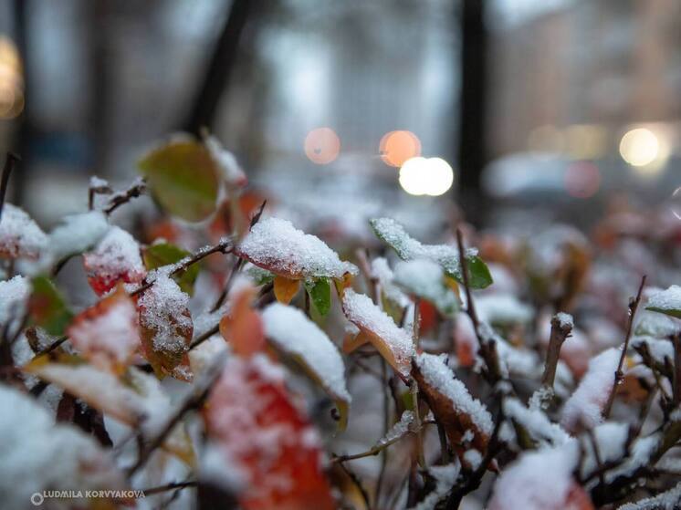 Морозные ночи до -5°C ожидаются в Карелии