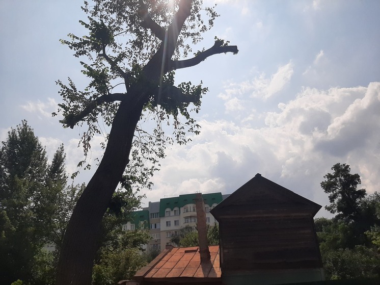 В Саратове сегодня будет дождливо