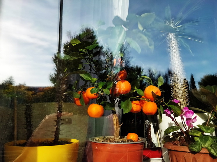 Как подготовить квартиру к зиме: 3 шага, как не замерзнуть и не разориться на "коммуналке"