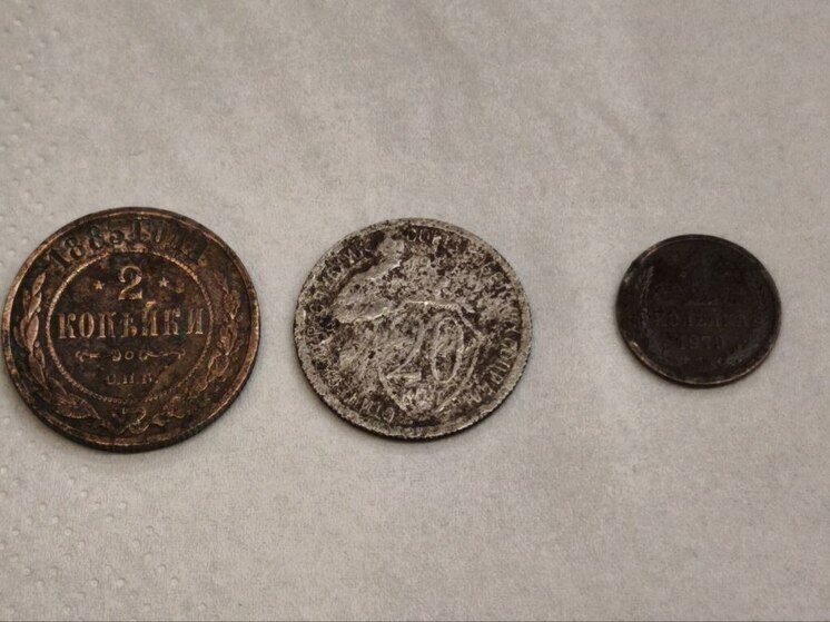 Глава Боровска похвастался своими копейками