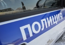 Ночью в Нижних Сергах двое местных жителей 37 и 50 лет пытались ограбить пункт приема металлолома