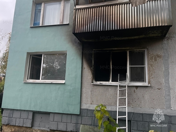 Александр Бастрыкин займётся расследованием смертельного пожара в Боровске