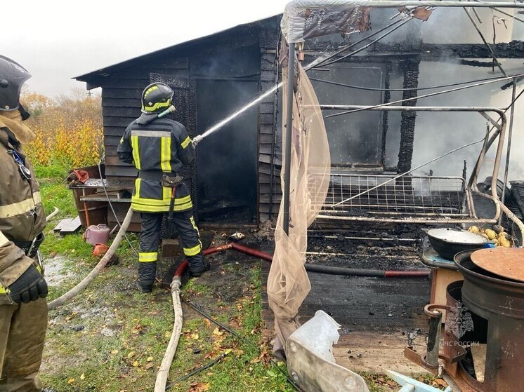 Пенсионер погиб при пожаре в садовом товариществе под Красноярском