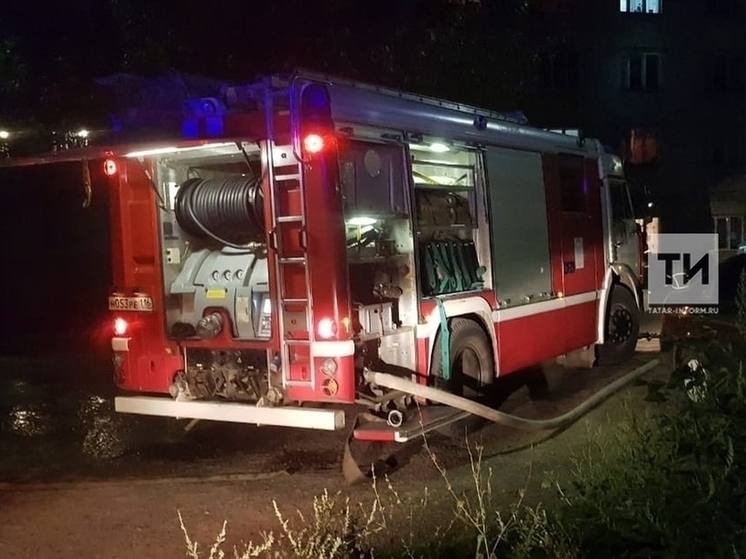 На пожаре в СНТ Татарстана погибли два человека