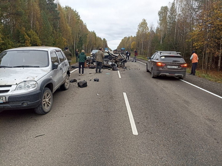 Два человека погибли в тройном ДТП в Марий Эл