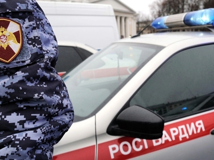 Росгвардия Поморья отчиталась о проверках оружия и задержаниях за неделю
