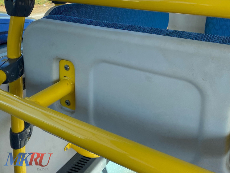 В три калужских микрорайона поедут 20 новых автобусов