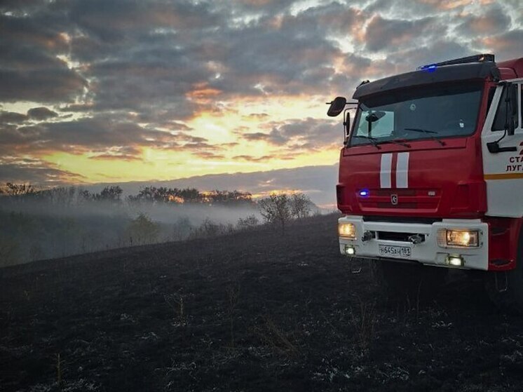За выходные в ЛНР выгорело 257 гектаров сухостоя